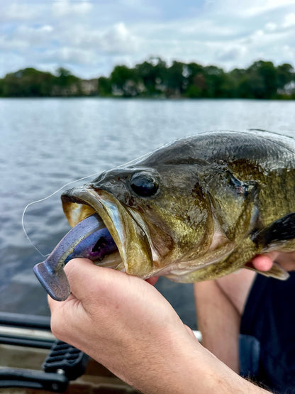 Cutt Throat Shad 6" - Oil Slick